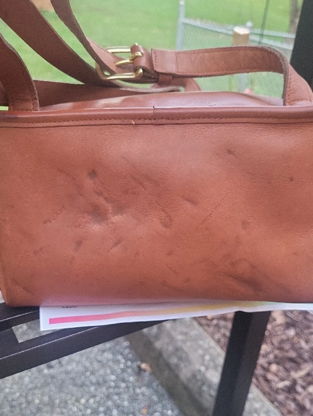 Coach Leather Backpack Purse in Brirish Tan With COA